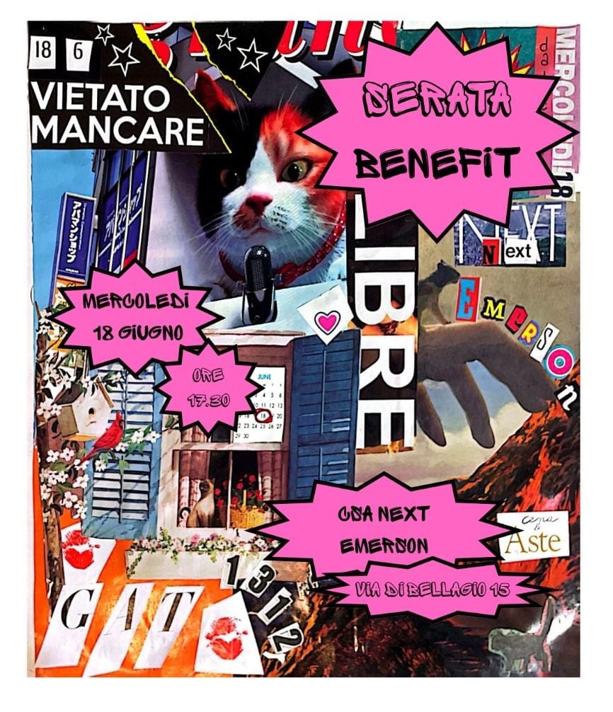 Giornata di autofinanziamento GAT