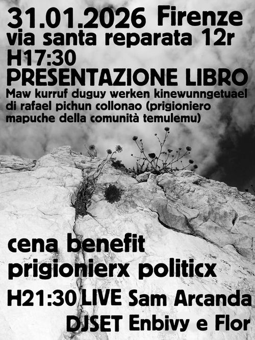 Aggiornamenti dal movimento Mapuche