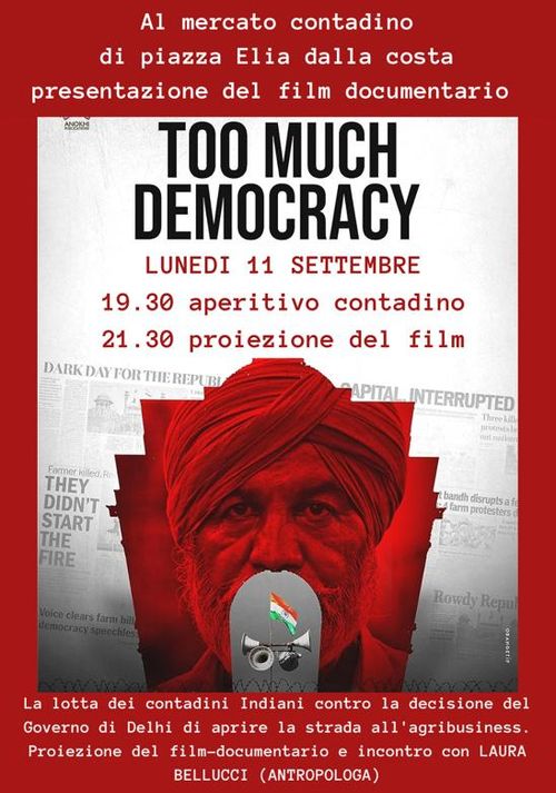 Too Much Democracy