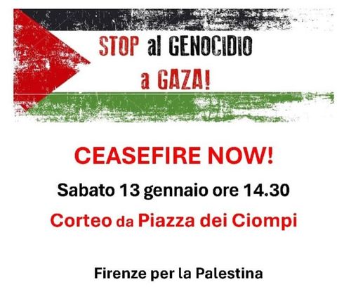 Stop al genocidio a Gaza ! Ceasefire now
