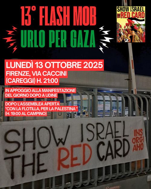 13° Urlo per Gaza 
