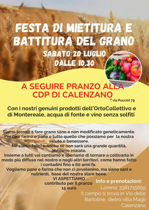 FESTA DI BATTITURA E MIETITURA DEL GRANO